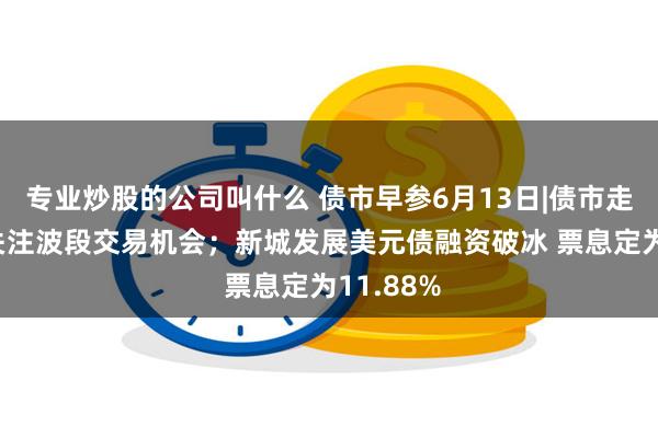 专业炒股的公司叫什么 债市早参6月13日|债市走强 机构关注波段交易机会；新城发展美元债融资破冰 票息定为11.88%